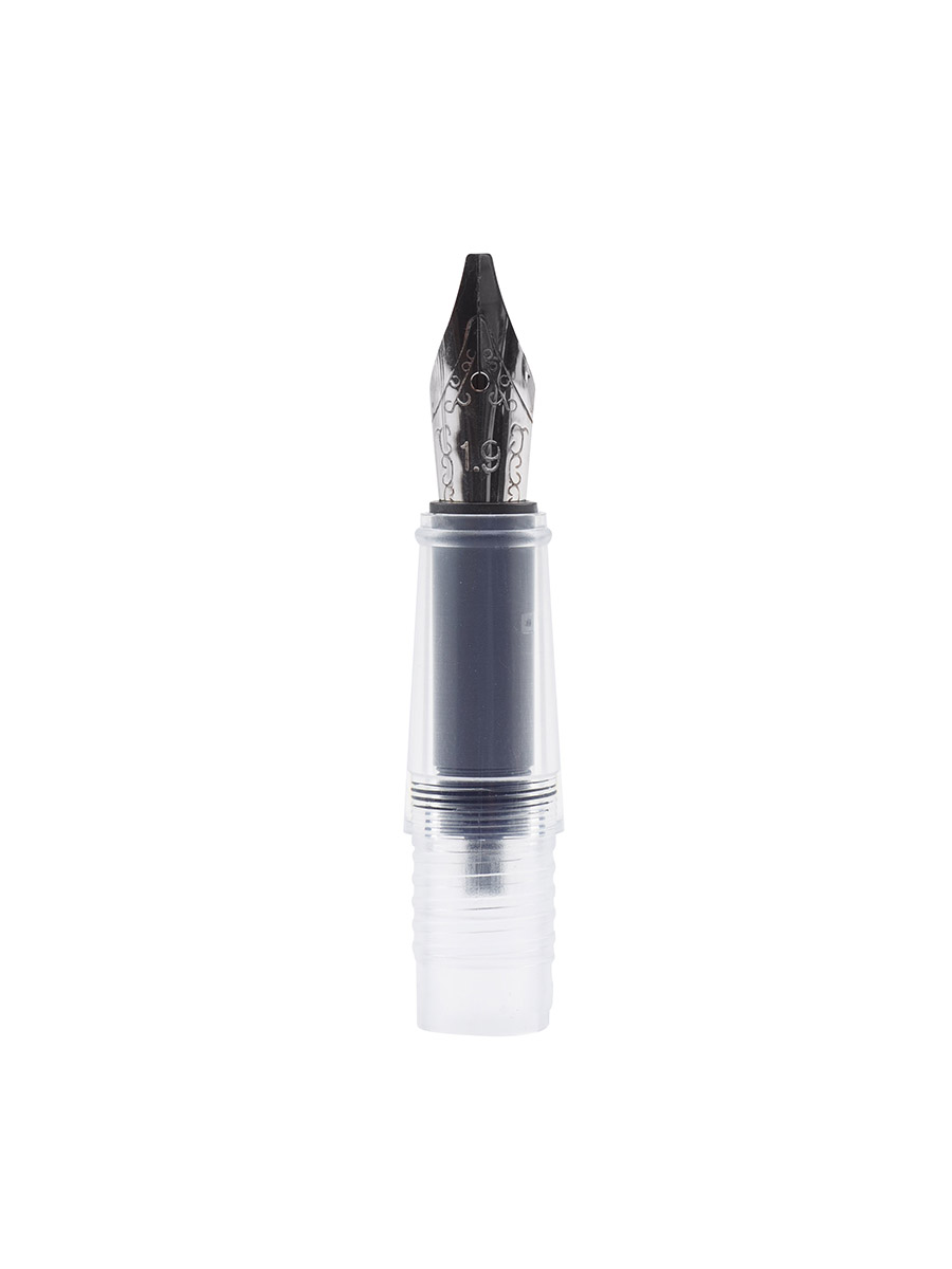 Набор WE-SHARE: перьевая ручка + сменные насадки + конвертер + чернила PIERRE CARDIN PCW-001-2