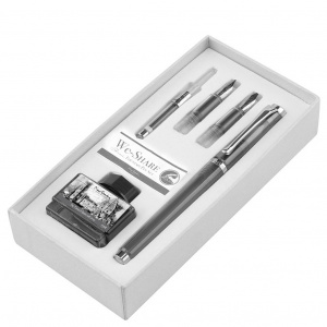 Набор WE-SHARE: перьевая ручка + сменные насадки + конвертер + чернила PIERRE CARDIN PCW-001-1